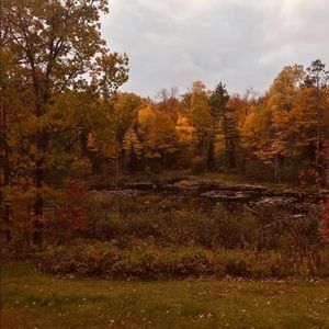 Meet your Posher, Whitney